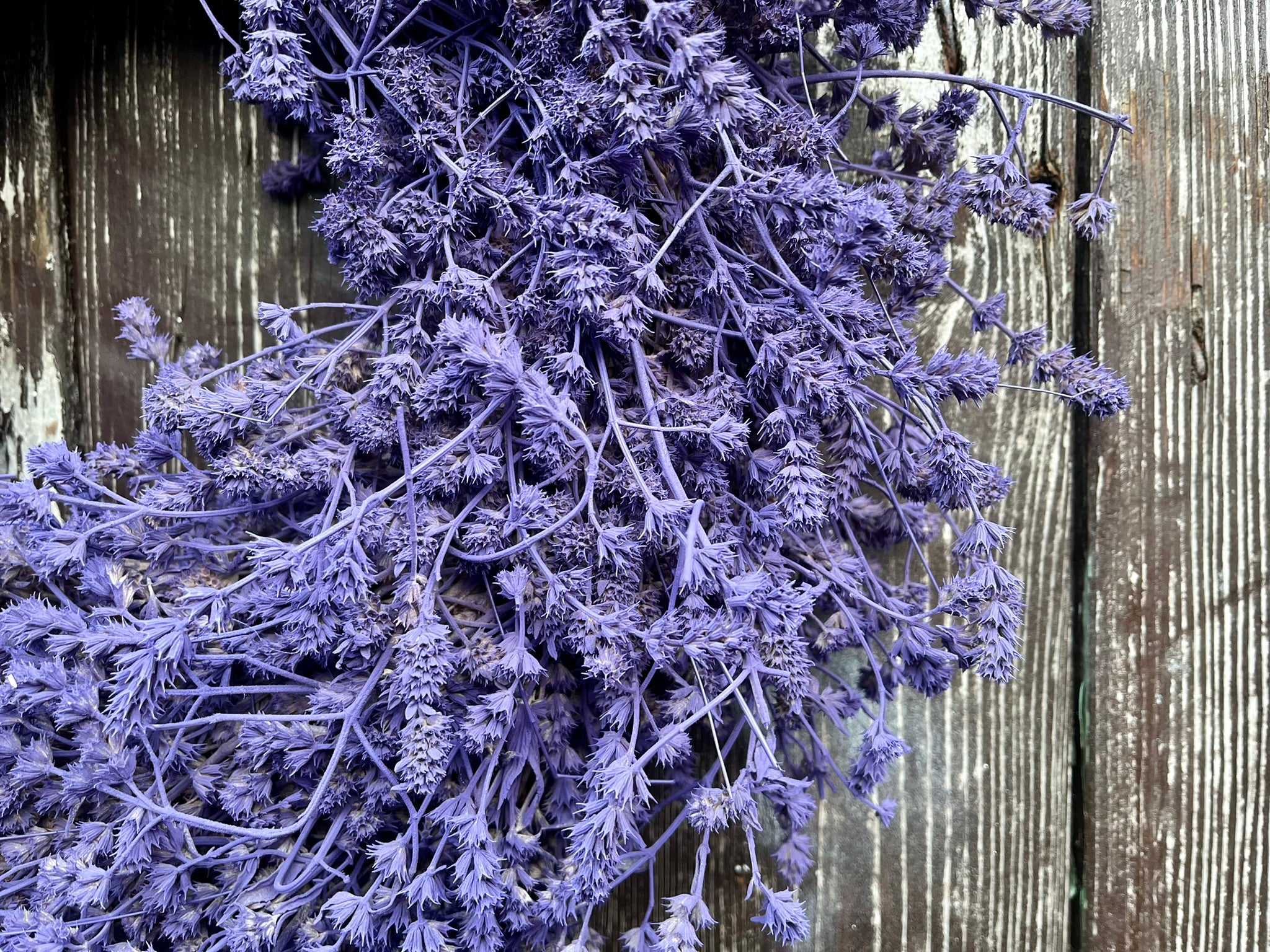 Lavendel Kranz in lila, für Tür und Wand ca.  35 cm Durchmesser