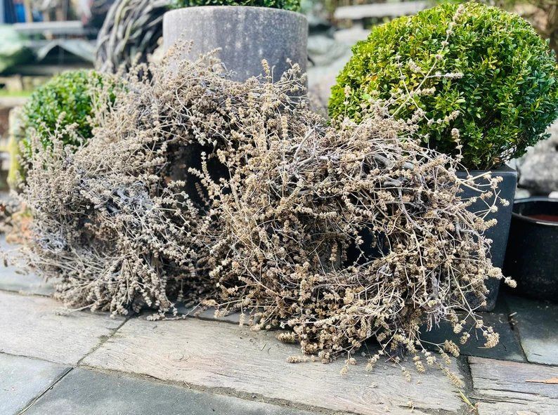 Bonsai & Lavendel Kranz, 30, 40 oder 60 cm für Tür und Wand