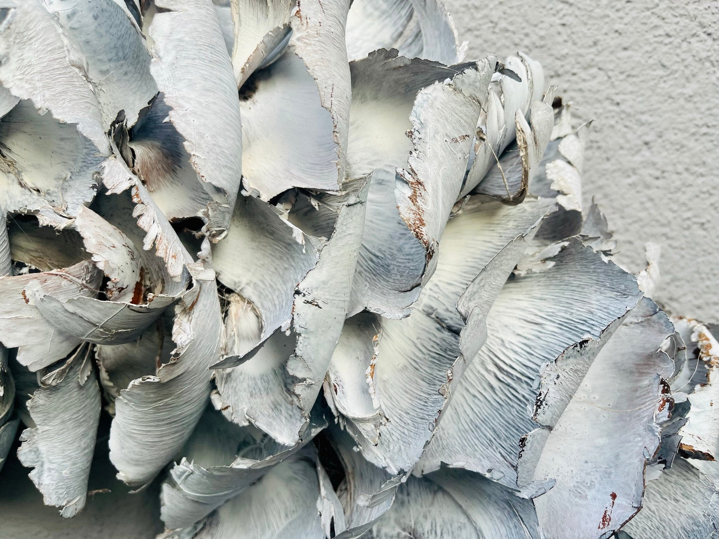 Türkranz Wandkranz Kranz Palmenblättern 25 cm, 40 cm, 55 cm und 65 cm Durchmesser, weiß